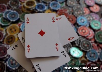 捕鱼王带您深度剖析番摊：技巧、心态与理性博弈指南