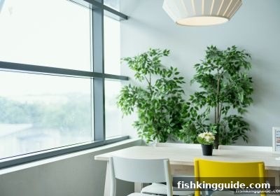 捕鱼王指南：打造你的比特币娱乐专属游戏风格