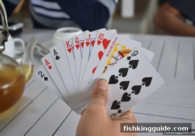 捕鱼王揭秘：支付宝充值如何赋能波胆预测与桌游体验升级
