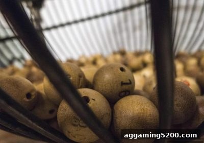 捕鱼王教你玩转彩票：复式与胆拖的科学选号策略