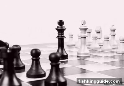捕鱼王精讲国际象棋：系统提升棋力的全方位策略