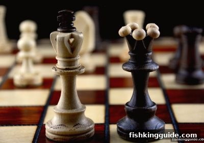 捕鱼王解密：棋牌游戏社交生态如何让玩家从孤军奋战走向集体狂欢