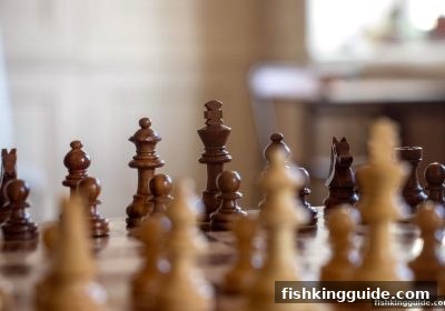 捕鱼王带你玩转波胆麻将：各地方玩法大揭秘与规则对比