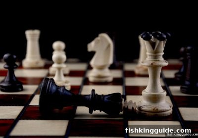 捕鱼王带你玩转围棋：从零基础到积分高手全攻略