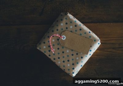 捕鱼王攻略：每日签到与充值100%赠送如何帮你赚取海量游戏币？