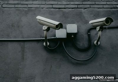 捕鱼王玩家必修课：平台条款解读与账户安全全攻略