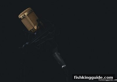 捕鱼王欧冠实时比分：极致数据服务让观赛体验全面升级